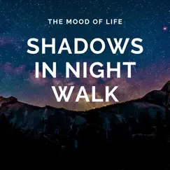 Shadows in Night Walk - Single by The Mood Of Life album reviews, ratings, credits