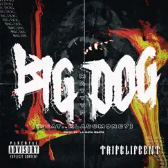 Big Dog (feat. Klass Money) Song Lyrics