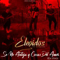 Se Me Antoja y Cosas Del Amor (En Vivo) Song Lyrics