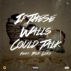 If These Walls Could Talk (feat. PopLord) - Single by Dash Gwoppo album reviews, ratings, credits