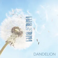Dandelion - Single by Itona album reviews, ratings, credits
