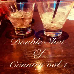 Double Shot of Country, Vol. 1 by Various Artists album reviews, ratings, credits