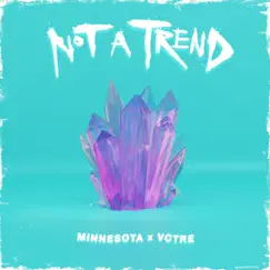 Not a Trend - Single by Minnesota & VCTRE album reviews, ratings, credits