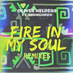 Fire In My Soul (feat. Shungudzo) [Tom Staar Remix] Song Lyrics