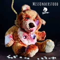 Missunderstood - Single by 11 Unicorns album reviews, ratings, credits
