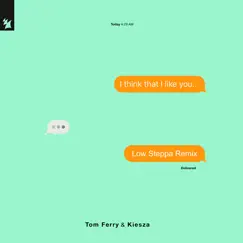 I Think That I Like You (Low Steppa Remix) Song Lyrics