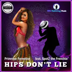 Hips Don't Lie (feat. Spotz the Frenchie™) Song Lyrics