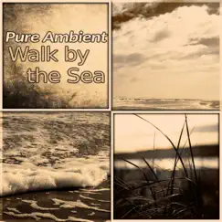 Pure Ambient: Walk by the Sea, Ocean Waves, Sea Breeze, Power of Water, Deep Meditation Music, Peace & Calm by Calm Sea Ambient album reviews, ratings, credits