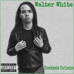 Walter White Song Lyrics