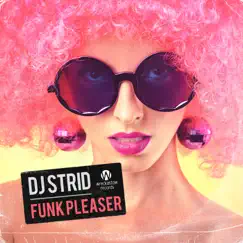 Funk Pleaser - Single by DJ Strid album reviews, ratings, credits