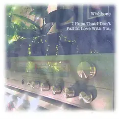 I Hope That I Don't Fall in Love With You - Single by Wishbone album reviews, ratings, credits