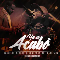 Ya Se Acabó (feat. Ricardo Amaray) Song Lyrics