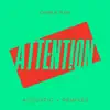 Attention (Acoustic + Remixes) album lyrics, reviews, download