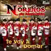 Te Voy a Domar - Single album lyrics, reviews, download