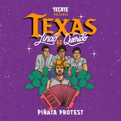 Texas Lindo y Querido (feat. Santiago Jimenez, Jr. & Mariachi Los Amores) Song Lyrics