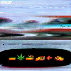 Flight 239 - Single by HERMANA album reviews, ratings, credits