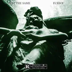 Not the Same - Single by Flxboi album reviews, ratings, credits