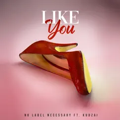 Like You (feat. Kudzai) Song Lyrics
