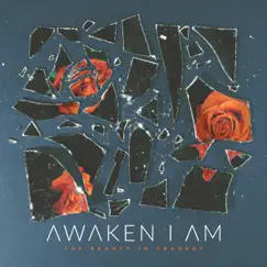 Indifference - Single by Awaken I Am album reviews, ratings, credits
