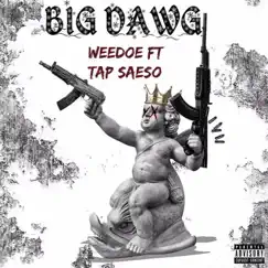 Big Dawg - Single by Saeso Guala album reviews, ratings, credits