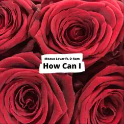 How Can I (feat. D-Ram) - Single by Meaux Levar album reviews, ratings, credits