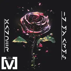 In My Arms - Single by Xand3r album reviews, ratings, credits