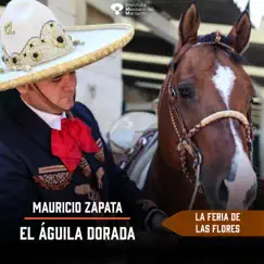 La Feria de las Flores - Single by Mauricio Zapata 