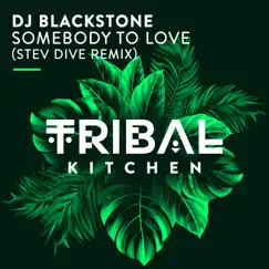 Somebody to Love (Stev Dive Remix) - Single by DJ Blackstone album reviews, ratings, credits
