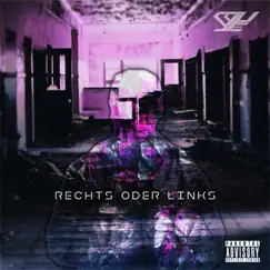 Rechts Oder Links - Single by Shiye album reviews, ratings, credits