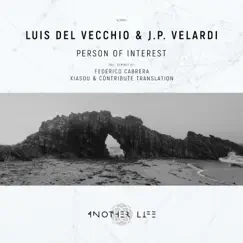 Person of Interest - Single by Luis Del Vecchio & J.P. Velardi album reviews, ratings, credits