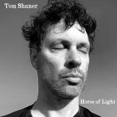 Horse of Light - Single by Tom Shaner album reviews, ratings, credits