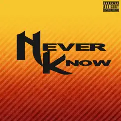 Never Know (feat. Jp Tha Hustler) - Single by Killa Gabe, Yung Trim & Chuckklez album reviews, ratings, credits