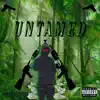 Untamed Freestyle - Single album lyrics, reviews, download