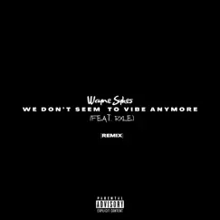 We Don't Seem to Vibe Anymore (feat. Rxle) [Remix] Song Lyrics