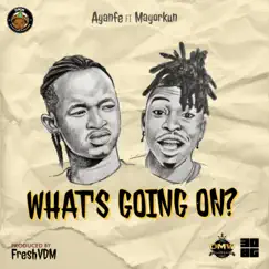 What's Going On W.G.O (feat. Mayorkun W.G.O) - Single by Ayanfe album reviews, ratings, credits