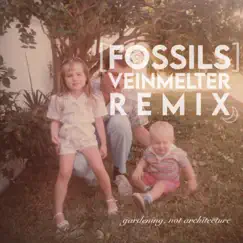 Fossils (VeinMelter Remix) Song Lyrics