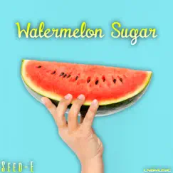 Watermelon Sugar (Radio Edit) Song Lyrics