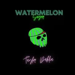 Watermelon Sugar Song Lyrics