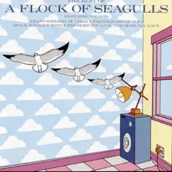 The Best of A Flock of Seagulls by A Flock of Seagulls album reviews, ratings, credits