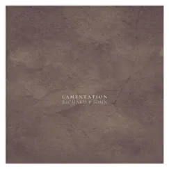 Lamentation - Single by Richard P John album reviews, ratings, credits