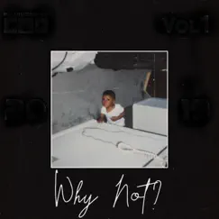 Why Not? by Various Artists album reviews, ratings, credits