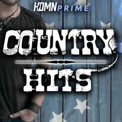 Country Hits! by Various Artists album reviews, ratings, credits