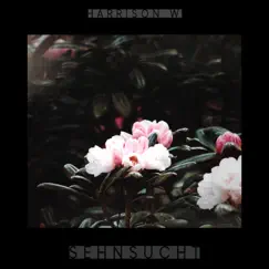 Sehnsucht - Single by Harrison Wright album reviews, ratings, credits