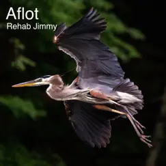 Aflot (Instrumental Version) - Single by Rehab Jimmy & James Sbrana album reviews, ratings, credits