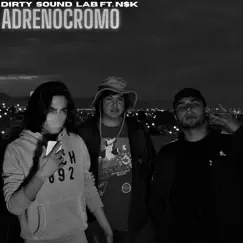 Adrenocromo (Demo) [feat. NSK] - Single by Dirty Sound Lab album reviews, ratings, credits