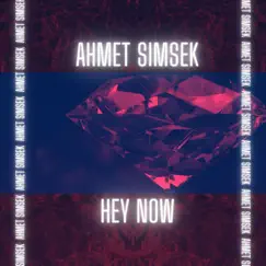 Hey Now - Single by Ahmet Simsek album reviews, ratings, credits