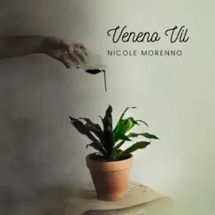 Veneno Vil - Single by Nicole Morenno album reviews, ratings, credits