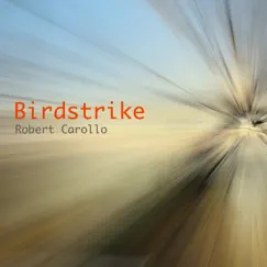 Birdstrike Song Lyrics