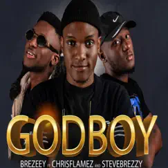 Godboy (feat. Brezeey & Stevebrezzy) Song Lyrics