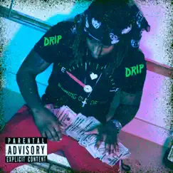 Drip - Single by Money Malow album reviews, ratings, credits
